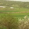 Nahed Nana - @nahed.nana - TikTok