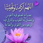 Nahed Said - @nahedsaid41 - Instagram