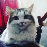 Nahed Said - @nahed9517 - Instagram