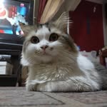 Nahed Said - @nahed1445 - Instagram