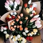 Nahed Said Saed - @nahedsaidsaed - Instagram