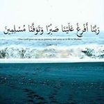 Nahed Shata - @nahedshata - Instagram