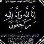 Nahed Shata - @nahed.ali.shata - Instagram