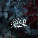 Nahed Youssef - @neno_youssef4556 - Instagram