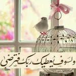 Nahed Zayd - @nahedzayed3 - Instagram