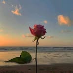 Nahed Zayed - Facebook