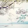 Nahed Zayed - @nahed.zayed4 - TikTok