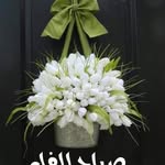 Nahed Zayed - @nahed.zayed.1 - Instagram