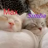 Naheed Abbas - @naheed.abbas02 - TikTok