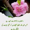 Naheed Abbasi Abbasi - @naheed.abbasi.abb - TikTok