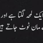 Naheed Arshad - @naheedarshad123 - Instagram