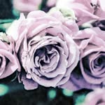 Naheed Aslam - @aslam_naheed - Instagram