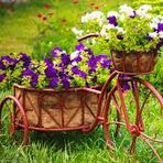 Md. Nahid Hasan - Facebook