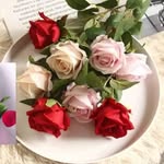 Naheed Hasan - @naheed2698 - Instagram