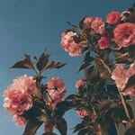 Naheed Hassan - @naheedhassan10 - Instagram