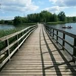 naheed imran - @hassansohail2003 - Instagram