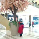 Naheed Malik - @naheedmalik021072 - Instagram
