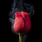 Naheed Malik - @naheed.malik.9693 - Instagram