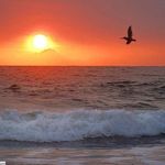 Naheed Malik - @naheed.malik.52090 - Instagram
