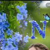 💞N∆hیD💞 م∆£!K 💞 - @naheedmalik0453 - TikTok
