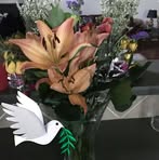 Naheed Naqvi - Facebook
