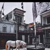 Naheed Naqvi - @naheed.naqvi8 - TikTok