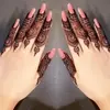 Naheed Naqvi - @naheednaqvi - TikTok