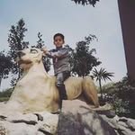 naheed.naqvi - @naheed.naqvi4 - Instagram