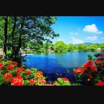 Naheed Rafiq - Facebook
