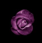 Naheed Raja - Facebook
