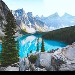 Naheed Raja - @naheedraja786 - Instagram