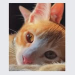 Naheed Tabassum - @naheed5135 - Instagram