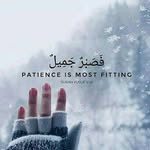 Naheed Tabassum - @naheed.tabassum - Instagram