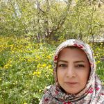 @nahid__amini - Instagram