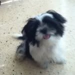 Nahir Concepcion Ortiz - @nahir756 - Instagram