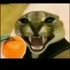 Nahir Parra - @nahir.parra - TikTok