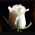 Nahla Ismail - @nahla.ismail.376 - Instagram