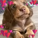 Naima Diaz - Facebook