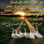 Naima Farah - @naima.farah.374 - Instagram