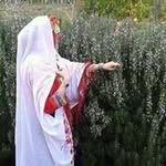 Naima Farah - @naima1522 - Instagram