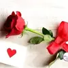 Naima Farah - @naima.farah83 - TikTok