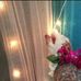 Najma Memon - Facebook