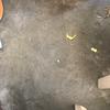 naishajoseph855 - @naishajoseph855 - TikTok