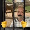 oque brignoni esta fazendo? - @oque.brignoni.est - TikTok
