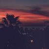 Najee_Ali - @Najee_Ali - TikTok