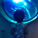 Najee Goode - @najeegoode - Instagram
