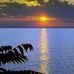 Ahmad Najeeb - Facebook