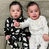 Najeeb Alam - @najeeb.alam612 - TikTok