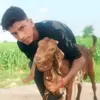 شا ہ - @najeebiqbal2 - TikTok
