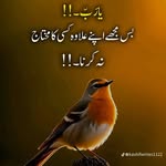 💖Najeeb💖 - @najeebiqbal75 - Instagram